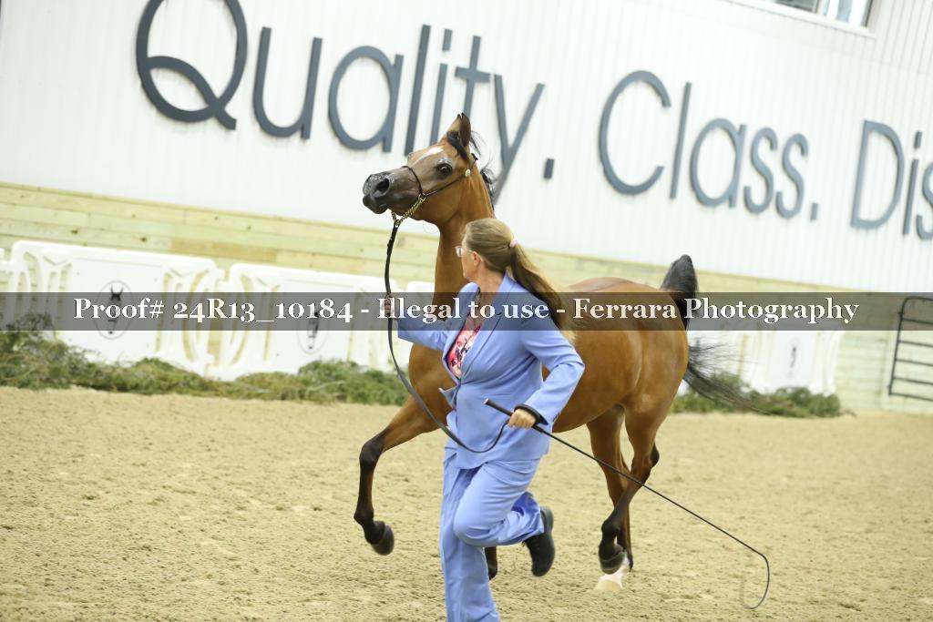 Proof 24R13_10184