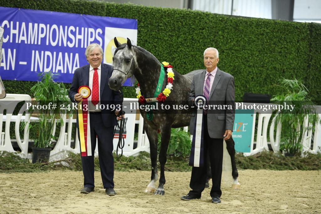Proof 24R13_10193
