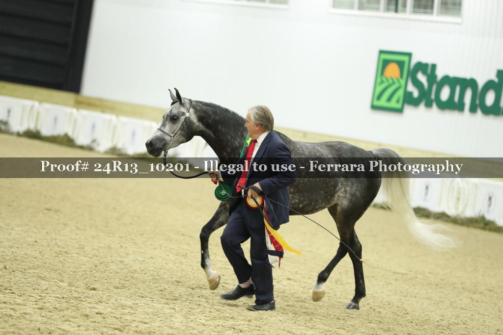 Proof 24R13_10201