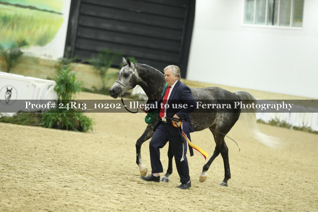 Proof 24R13_10202