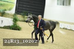 24R13_10202 proof