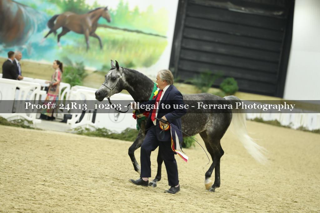 Proof 24R13_10203