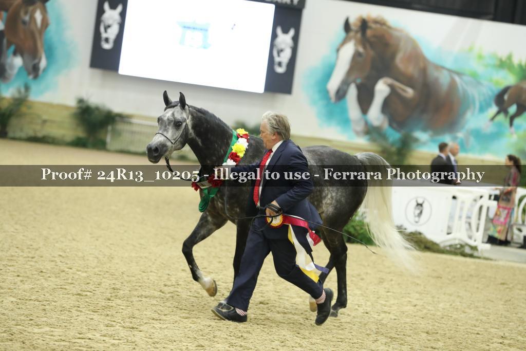 Proof 24R13_10205