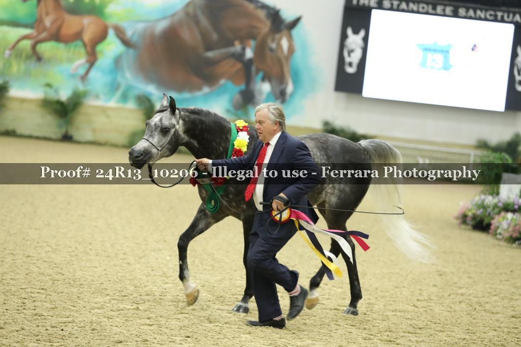Proof 24R13_10206