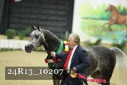24R13_10207 proof
