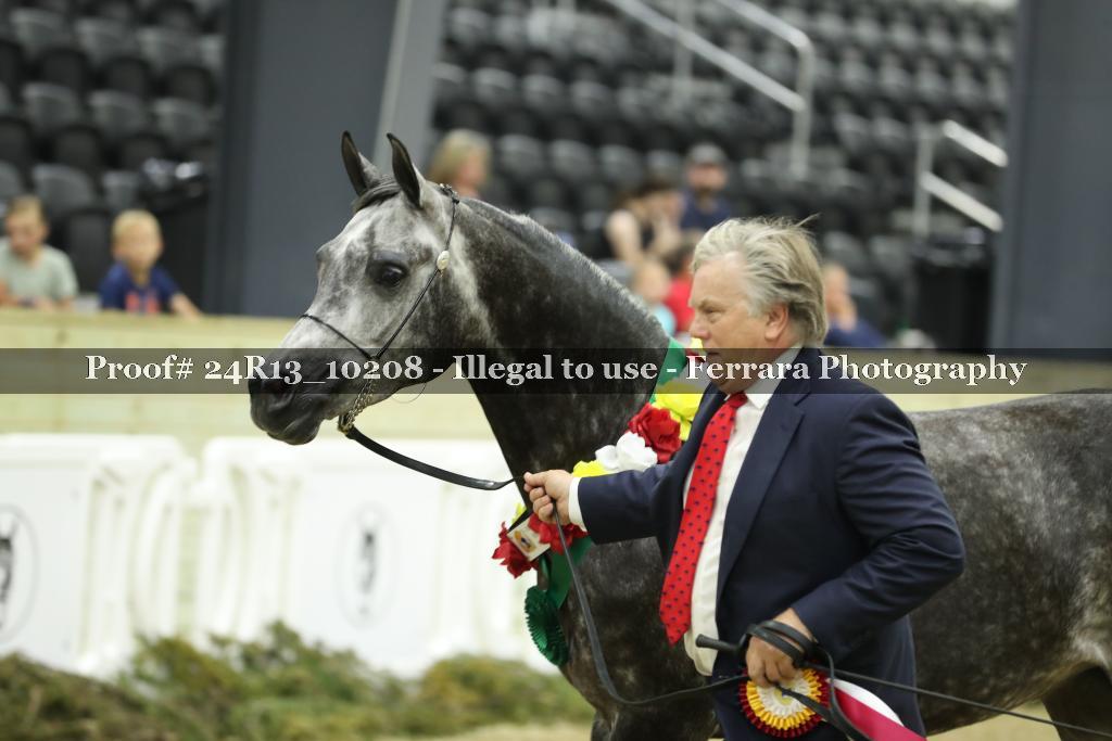 Proof 24R13_10208