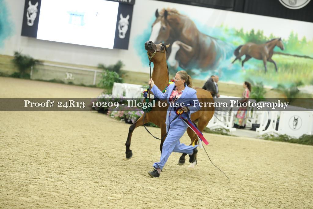 Proof 24R13_10209