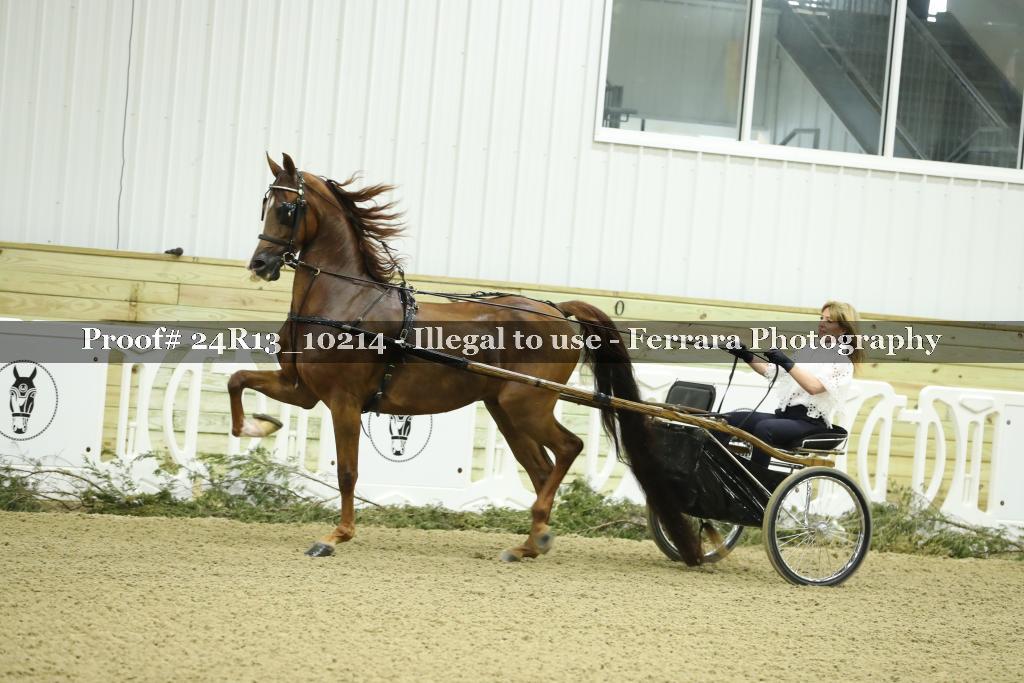 Proof 24R13_10214