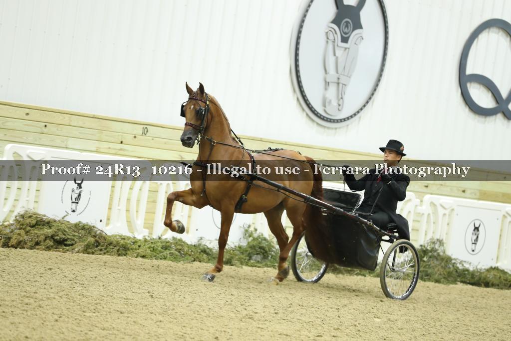 Proof 24R13_10216