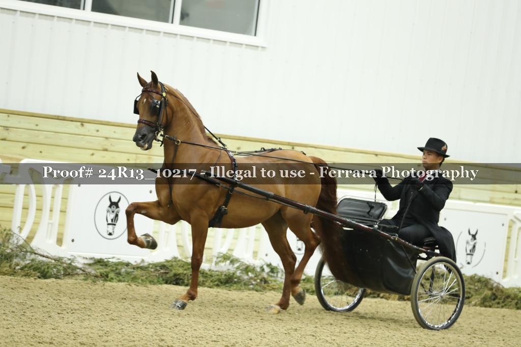 Proof 24R13_10217