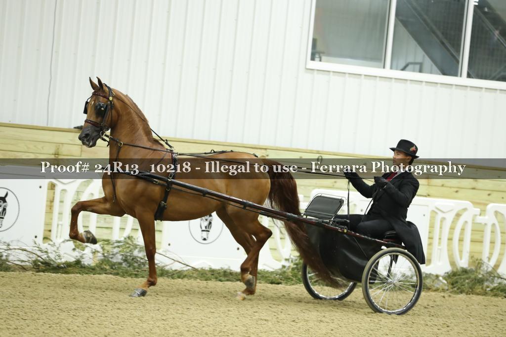 Proof 24R13_10218