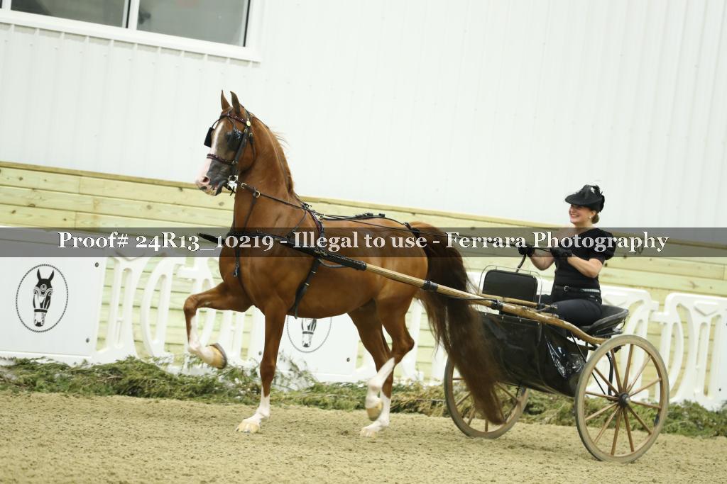 Proof 24R13_10219