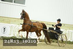 24R13_10219 proof