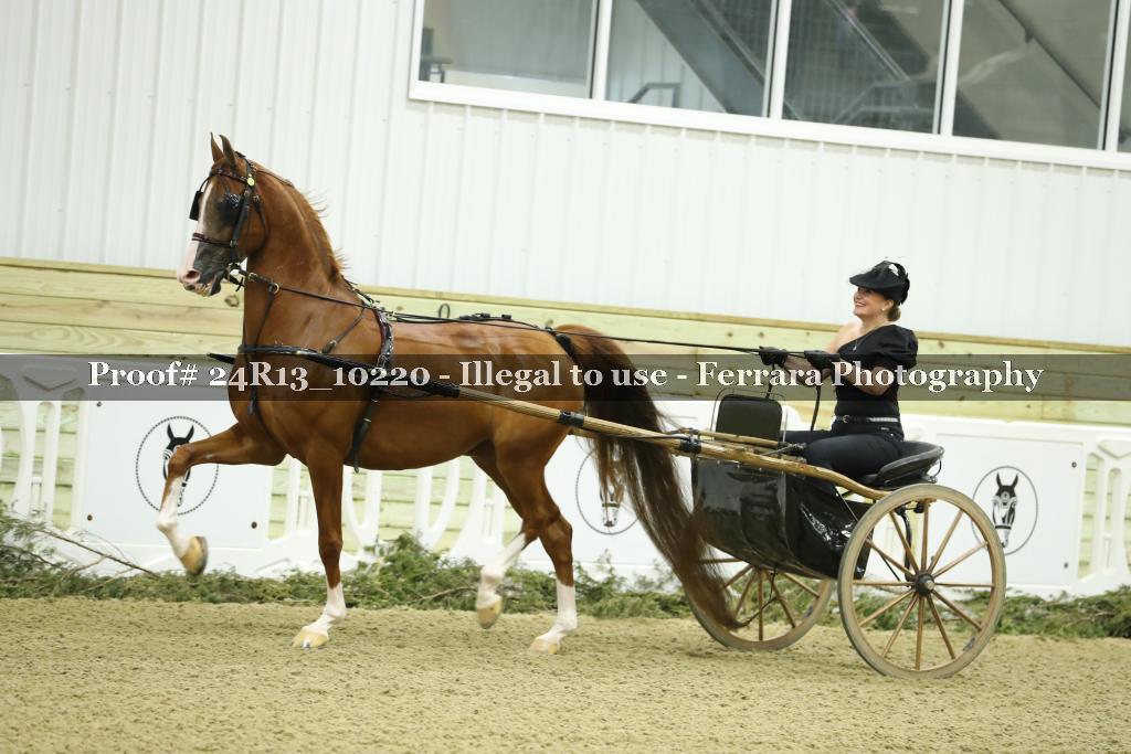 Proof 24R13_10220