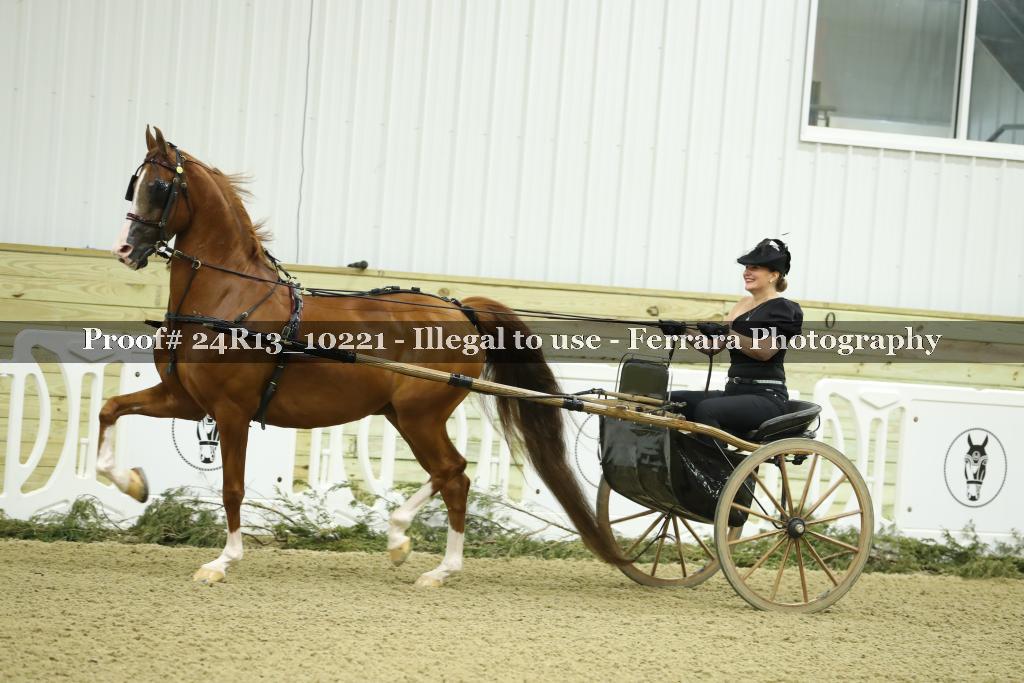 Proof 24R13_10221