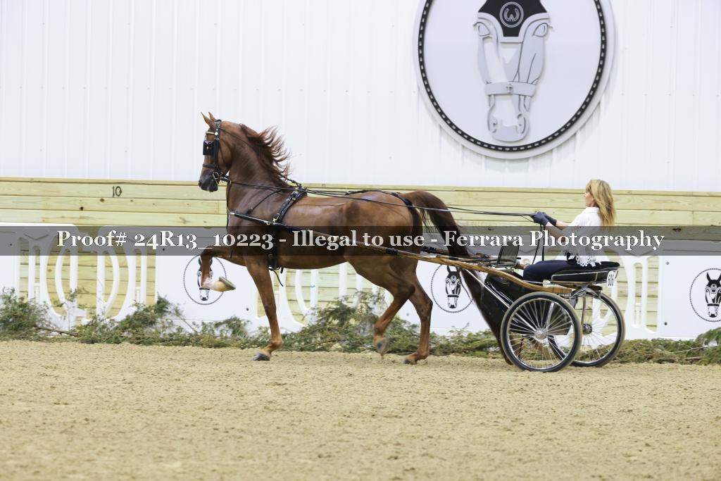 Proof 24R13_10223