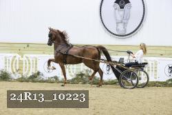 24R13_10223 proof
