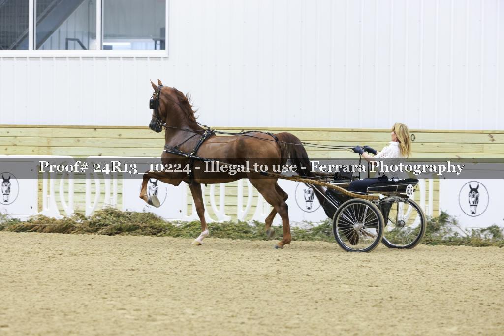Proof 24R13_10224