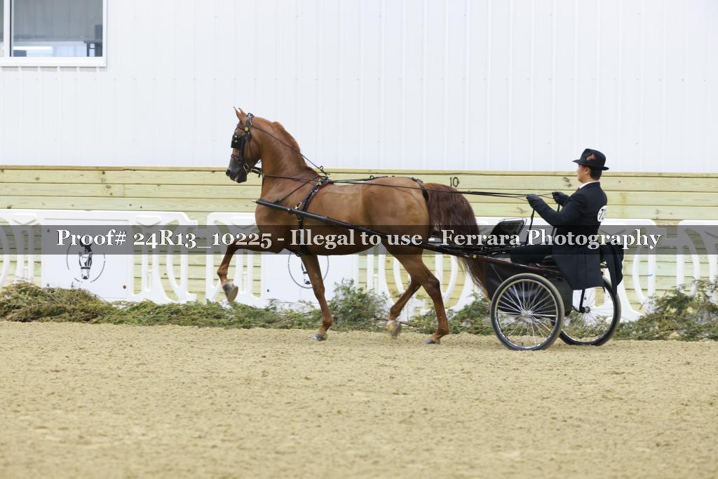 Proof 24R13_10225