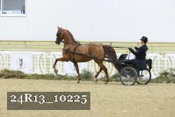 24R13_10225 proof
