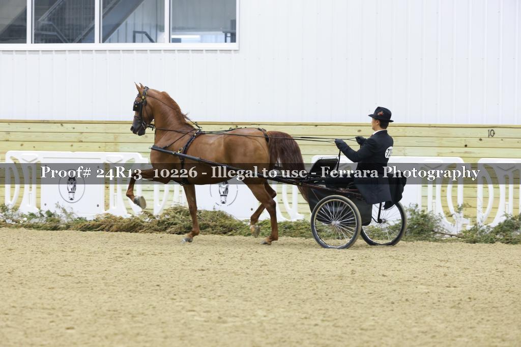 Proof 24R13_10226