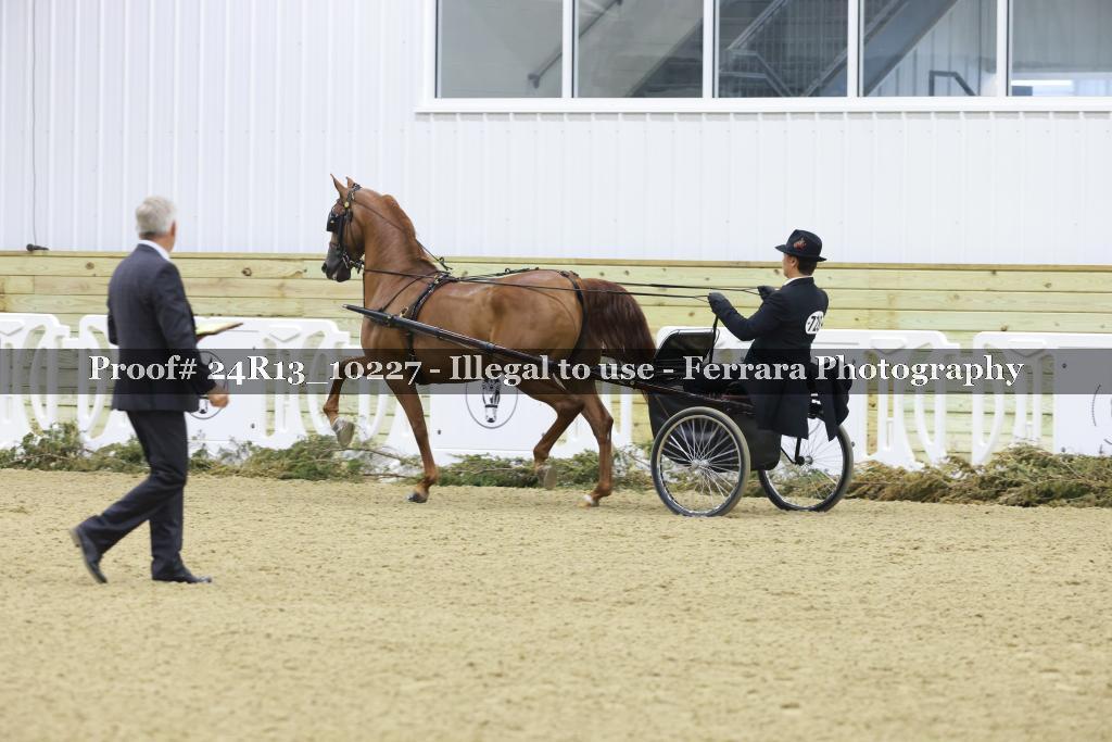 Proof 24R13_10227
