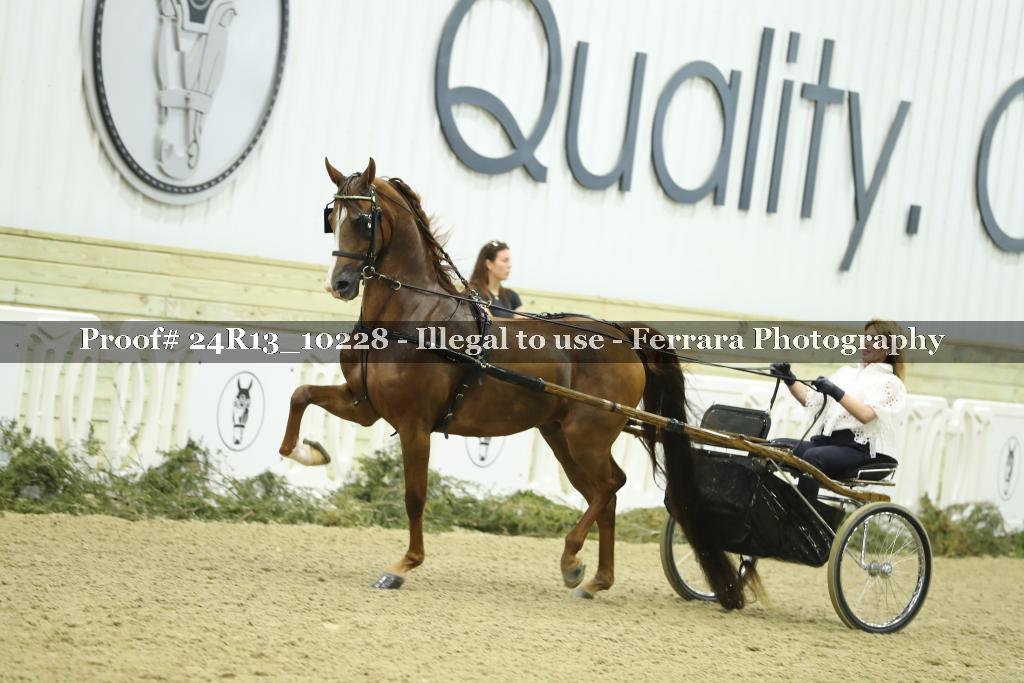 Proof 24R13_10228