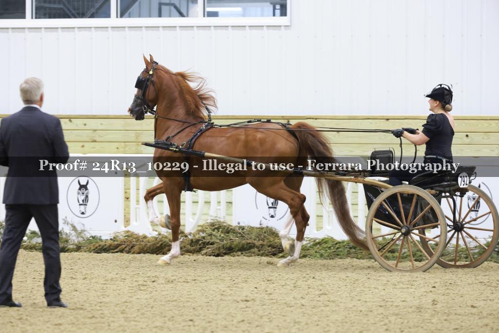 Proof 24R13_10229