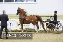 24R13_10229 proof