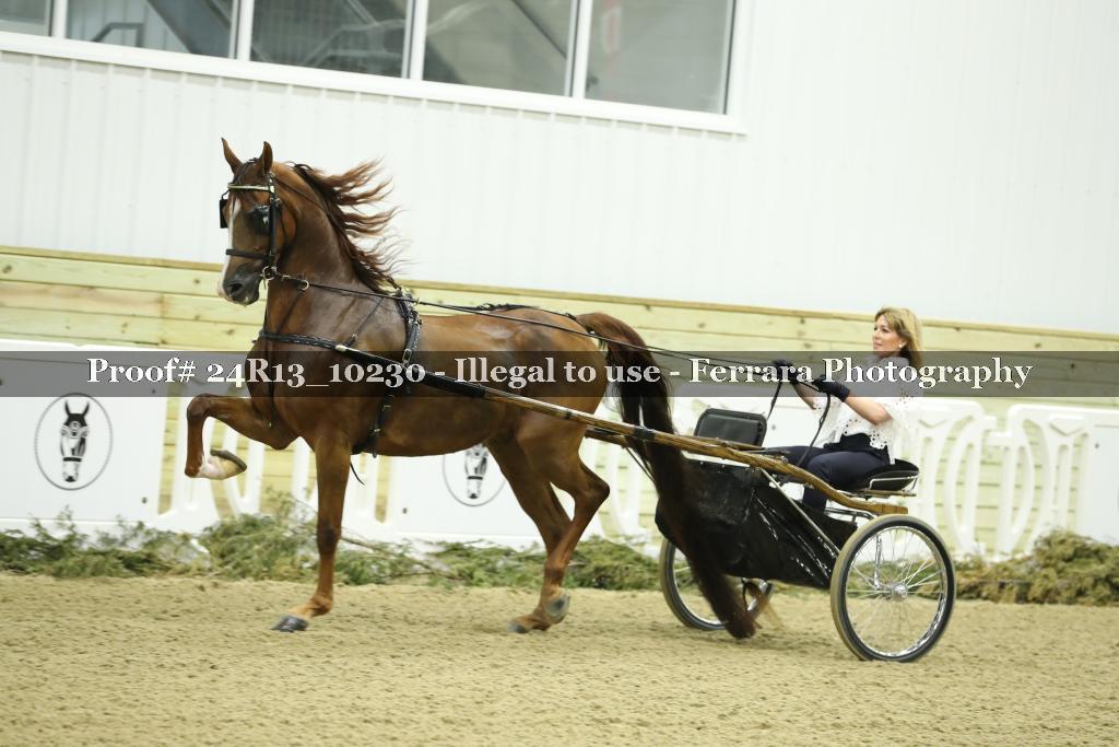 Proof 24R13_10230