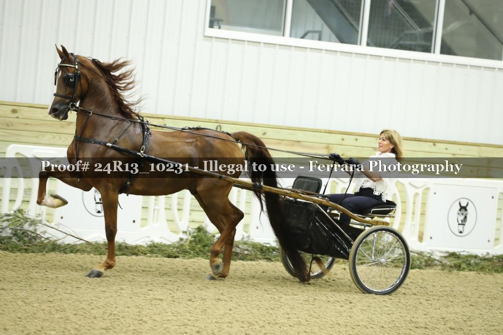 Proof 24R13_10231