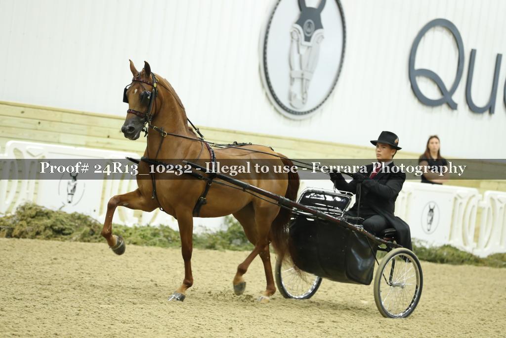 Proof 24R13_10232