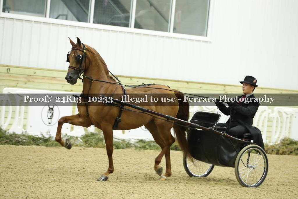 Proof 24R13_10233