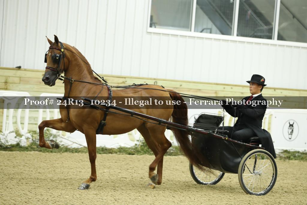 Proof 24R13_10234