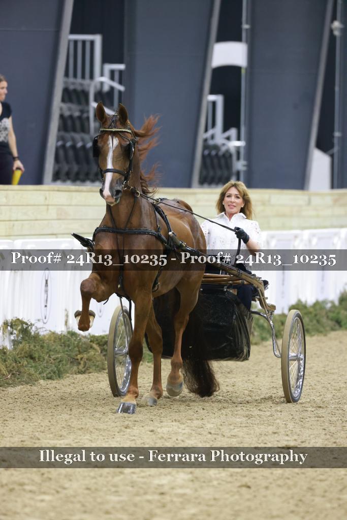 Proof 24R13_10235