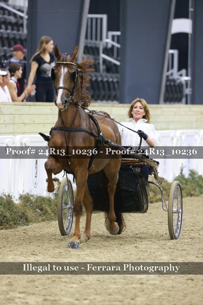 Proof 24R13_10236