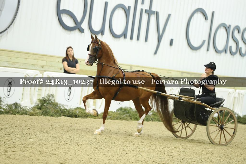 Proof 24R13_10237