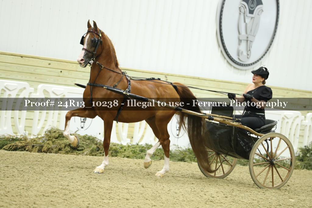 Proof 24R13_10238