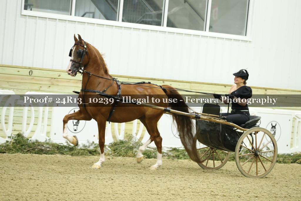 Proof 24R13_10239