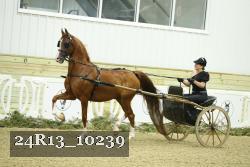 24R13_10239 proof