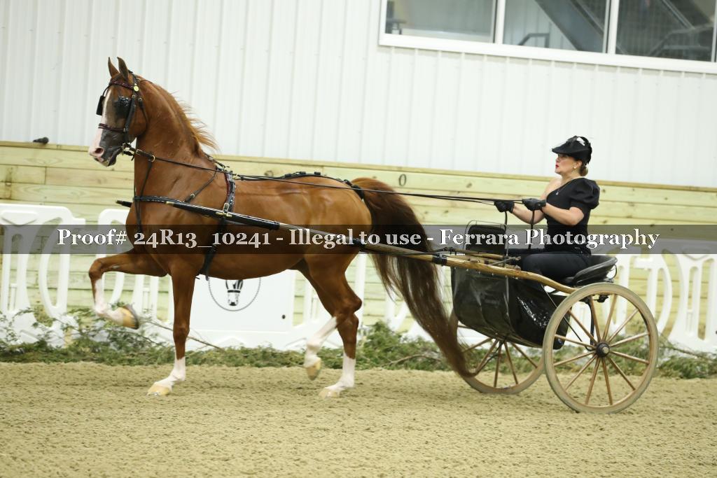 Proof 24R13_10241