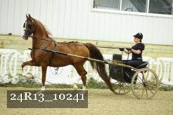 24R13_10241 proof
