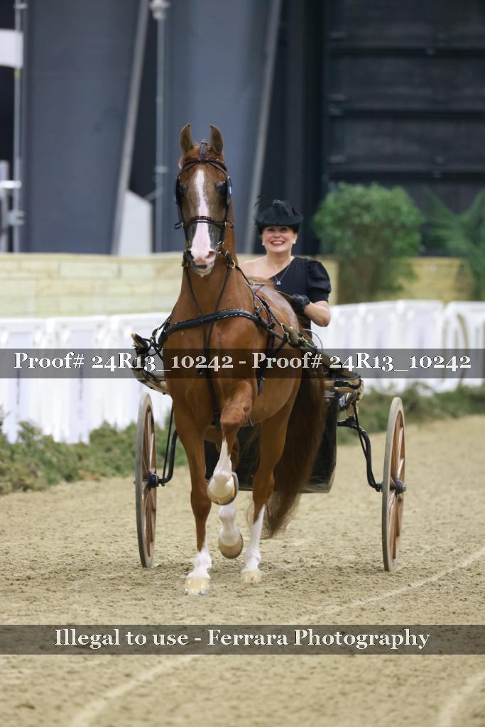 Proof 24R13_10242