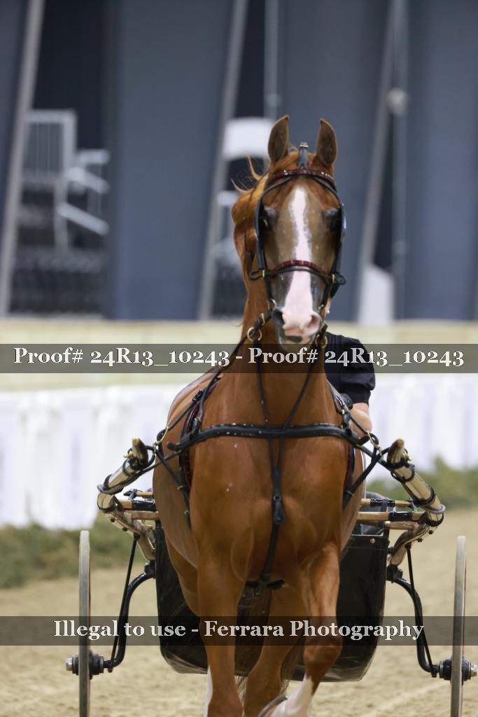 Proof 24R13_10243