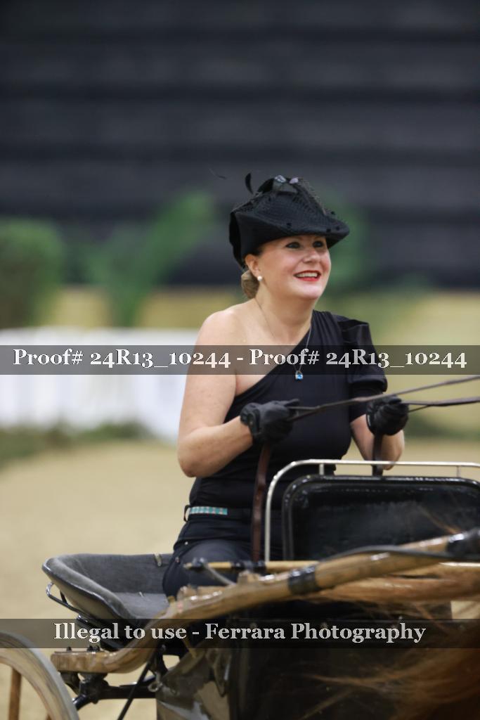 Proof 24R13_10244