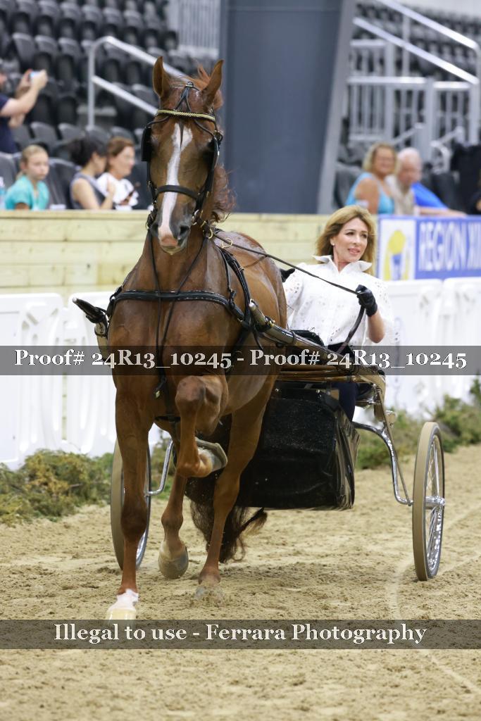 Proof 24R13_10245