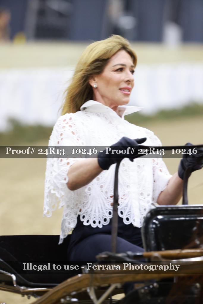 Proof 24R13_10246