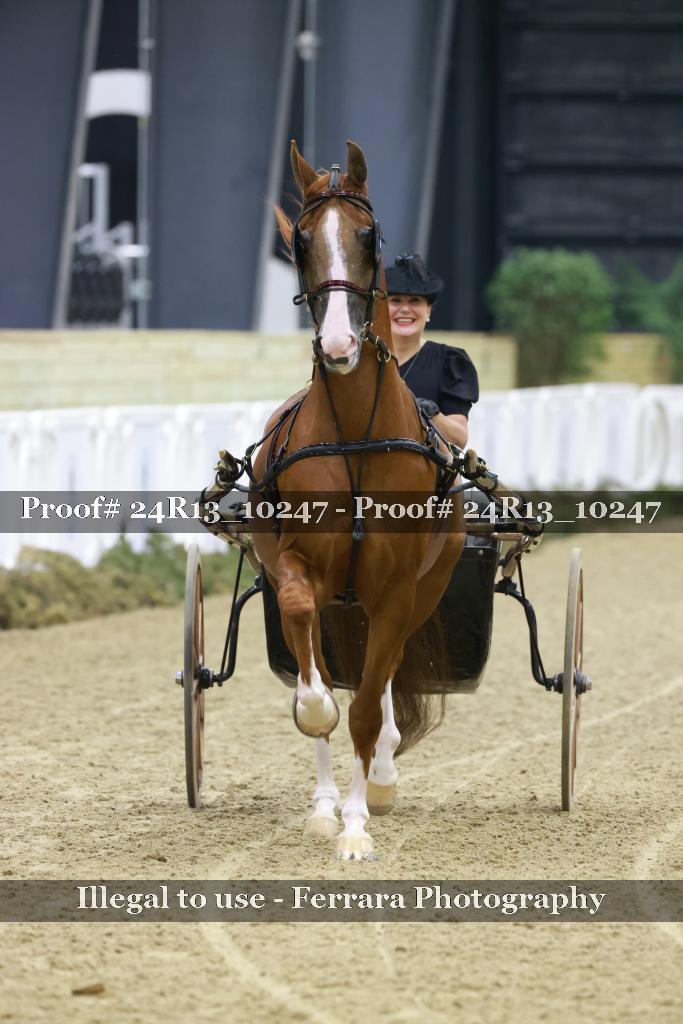 Proof 24R13_10247