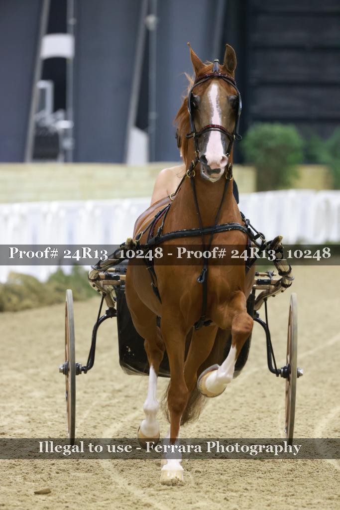 Proof 24R13_10248