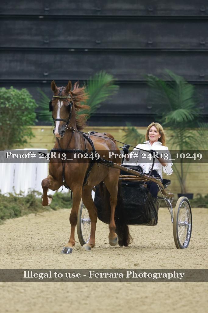 Proof 24R13_10249